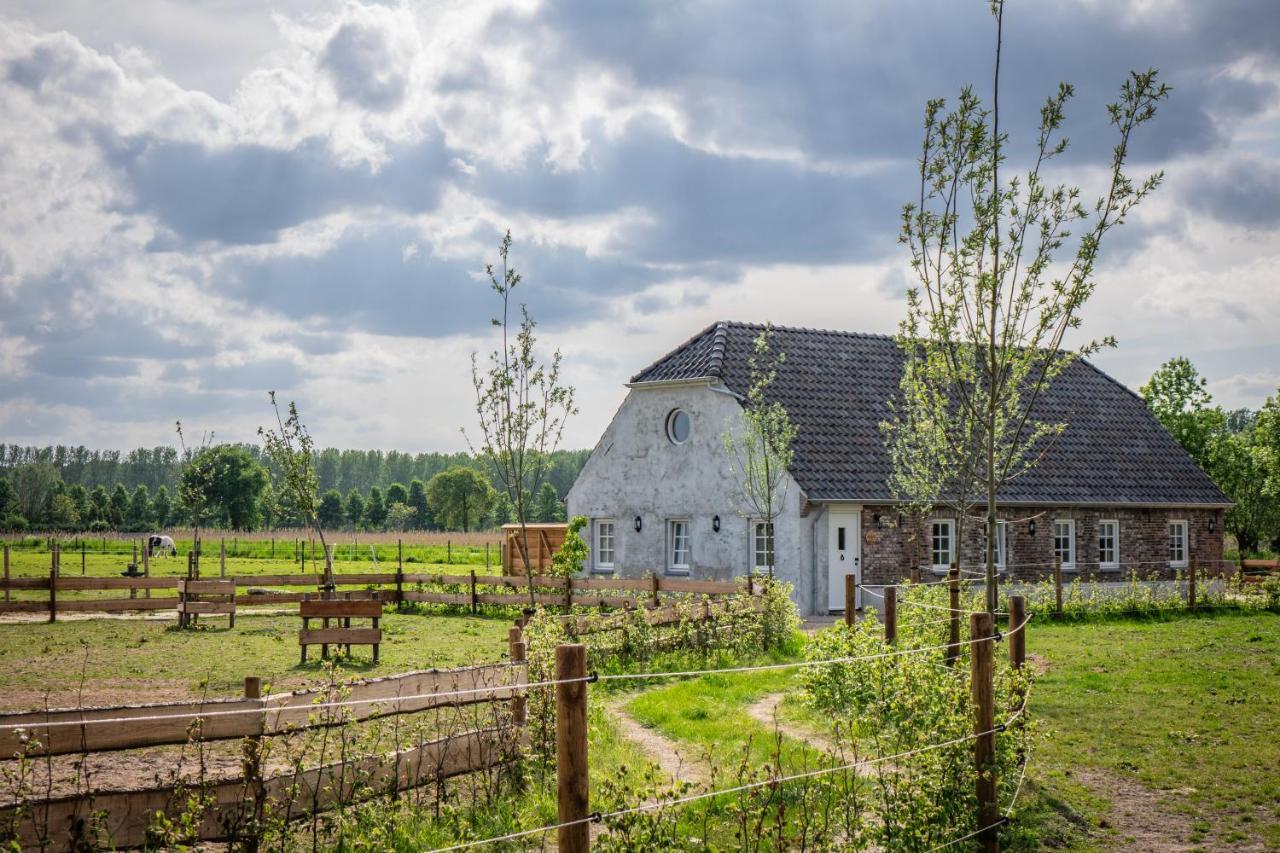 B&B Hoeve Klein Haneveld Sint-Oedenrode Exterior photo