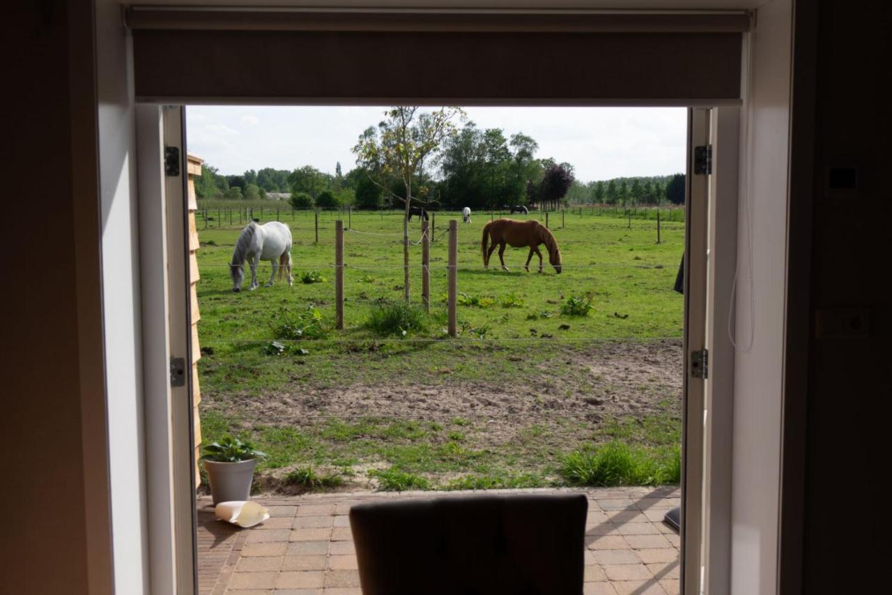 B&B Hoeve Klein Haneveld Sint-Oedenrode Exterior photo